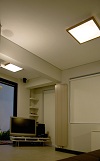 studio julia